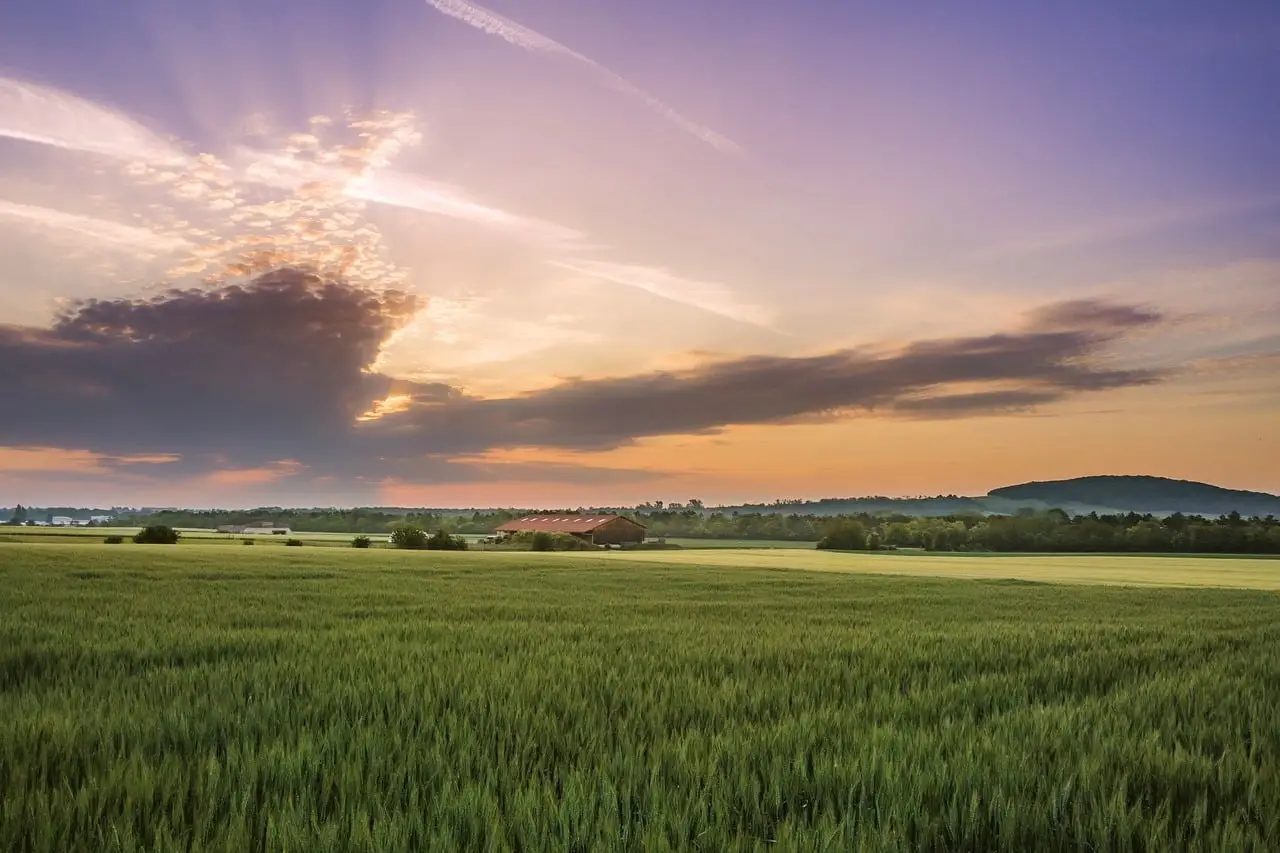 ARC and PLC expected to pay out $13.8B for 2025 crop year