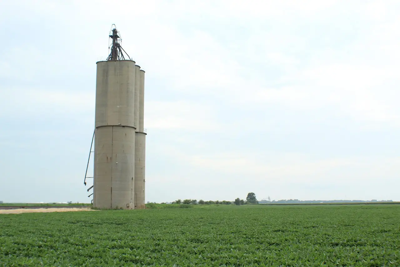 Grain Merchandisers Face Higher Costs, Larger Risks and Increased Volatility